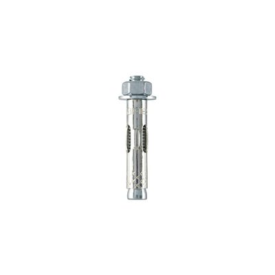 Taquete Expansivo Con Tornillo 5/16"