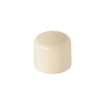 Tapon CPVC 3/4