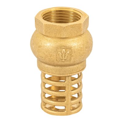 Pichancha Bronce 3/4