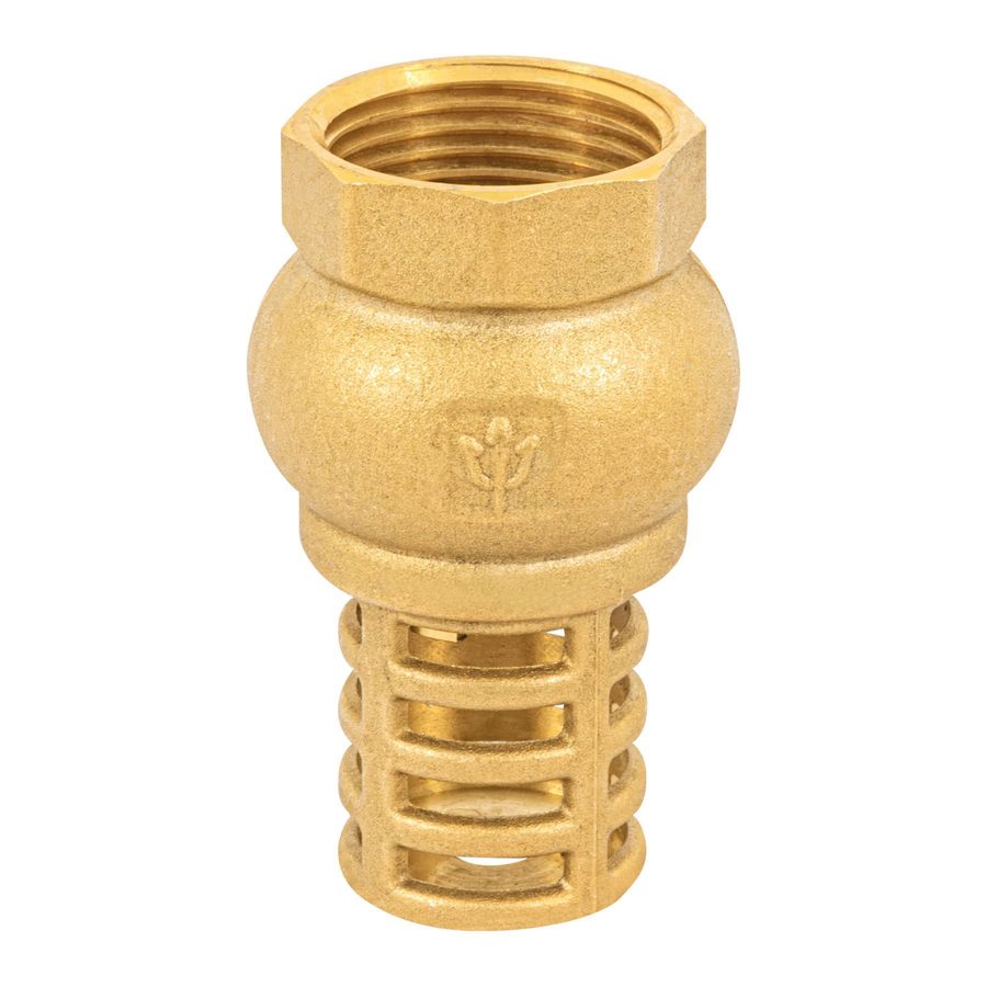 Pichancha De Bronce 1"